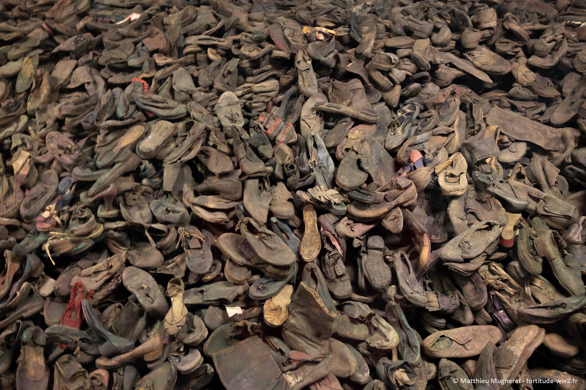 Auschwitz II Birkenau - chaussures retrouvées au Canada