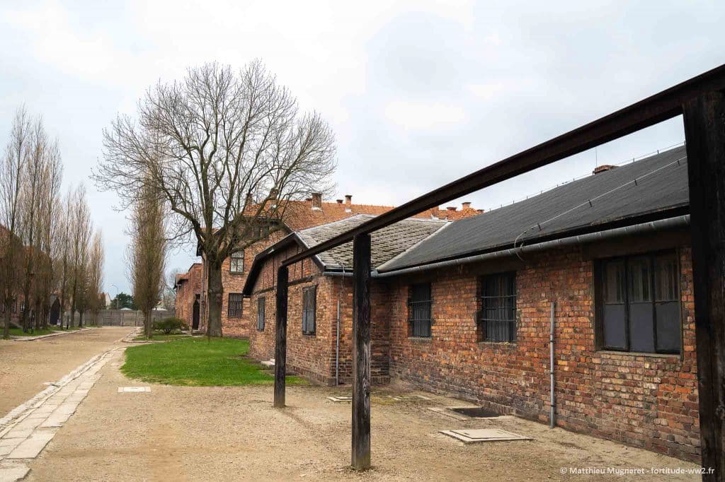 Potence collective dans le camp d'Auschwitz