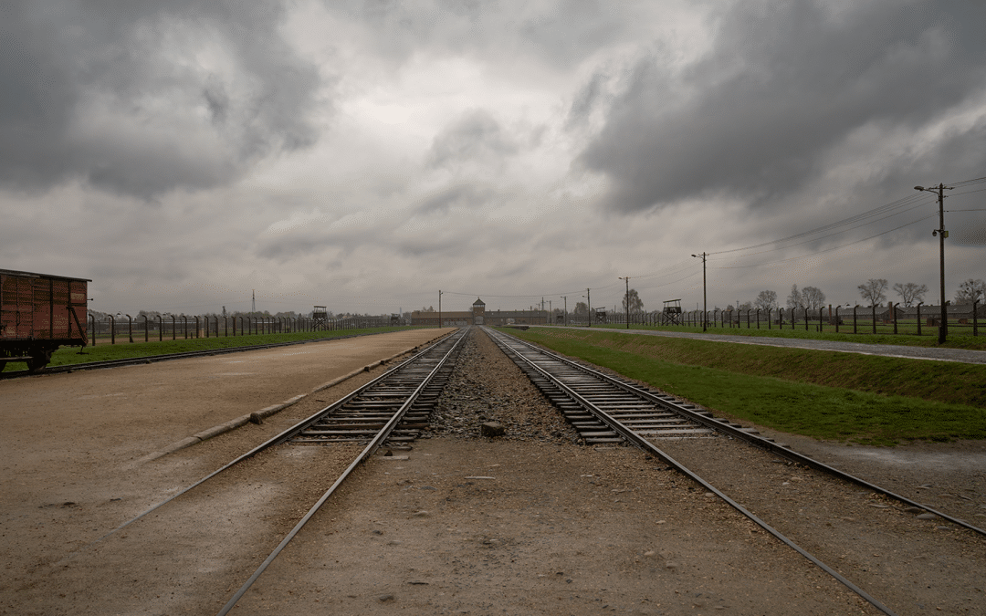 Album photo d’Auschwitz-Birkenau